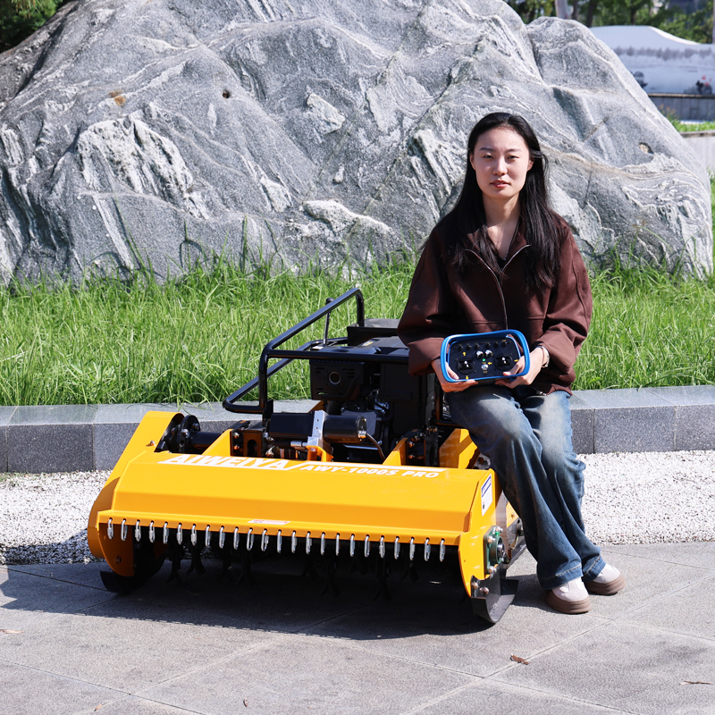 Customized multi-function remo - огляд і ціна Hedge Trimmer Cordless