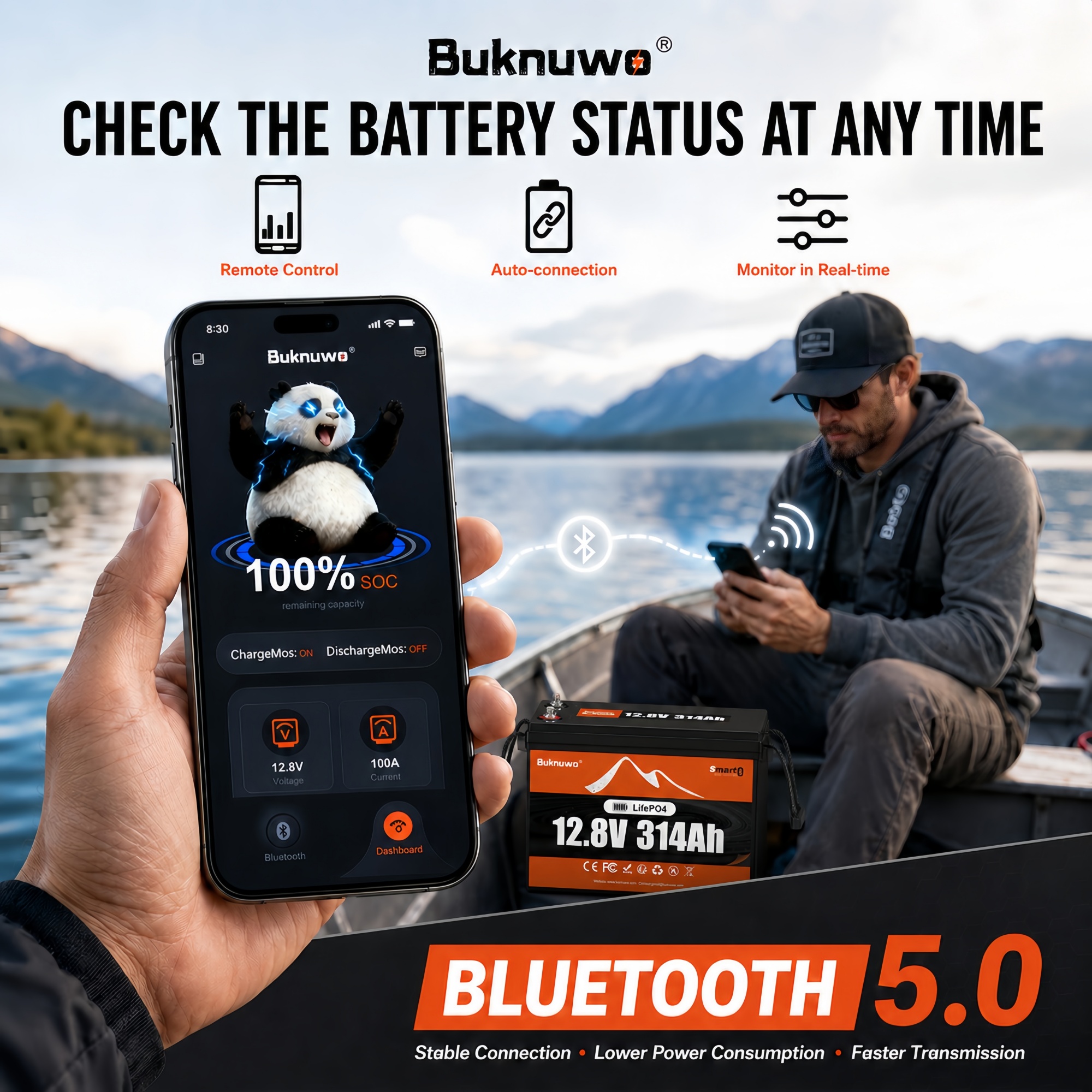 Smart 12V/12.8V 314Ah Bluetoot - огляд і ціна Outdoor Power Supply 12V