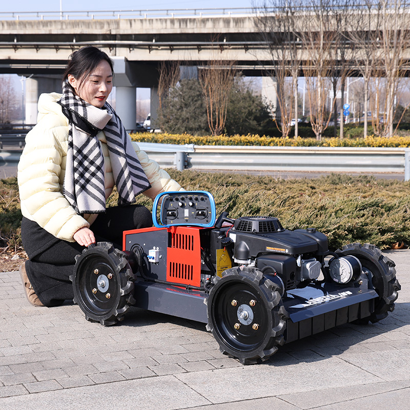 Customized Hot Sale Mini Crawl - огляд і ціна Hedge Trimmer Cordless